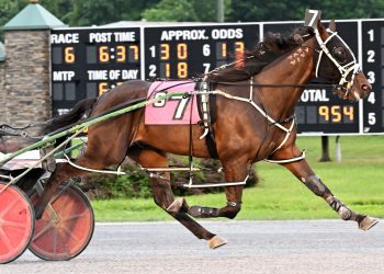 Heaven On High N scores second straight Open Pace