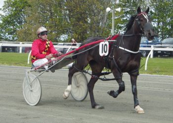Williamson loads the wagon for Winton