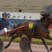 Igrec de Cellard wins 90,000€ GNT at Laval