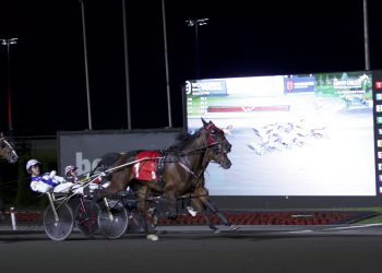 Canadian record in $425,000 Fan Hanover