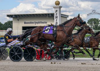 Stunning performance at Oak Grove by Stun Gun