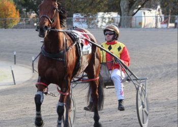 South-west takes the south-east feature