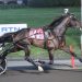 Karl and T C I won’t tango in $270,000 Dancer Trots 2 Karl takes lifetime mark in $240,000 NJSS Final