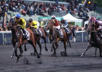 120,000€ monte Gr II tests highlight Vincennes