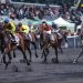 120,000€ monte Gr II tests highlight Vincennes