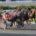 Plainridge co-feature won by 39-1 longshot
