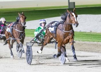 Weekly spotlight on breeding