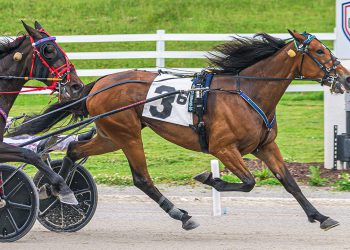 Stars converge on Oak Grove for last 4-year-old KYSS prelim