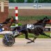 Eight-year-old track record rewritten at Running Aces