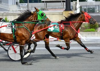 Seventh straight win for claiming mare