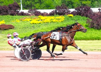 Trotters and pacers are flying at Pocono Downs