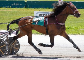 Power And Grace is the “dominating damsel”