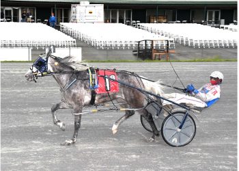 11-1 longshot sweeps to victory in Open Pace