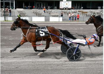 Bailey wins six at Vernon