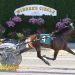 Tyler Buter sweeps $114,000 NYSS at Tioga