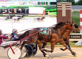 Minnesota-sired divisions grab headlines at Aces