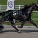Muskateer Hanover massive, Bates OK, three races cancelled