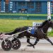 Reigning champion sets track record in NYSS