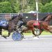 Jaymes Mcassey stole the show at Saratoga 1 Jaymes Mcassey stole the show at Saratoga