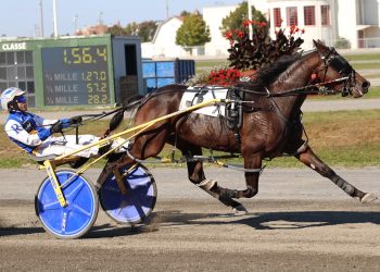 LPR hoping Ronda Du Lac returns to winning form