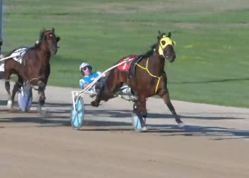 Woodmere Rollnpop pops again