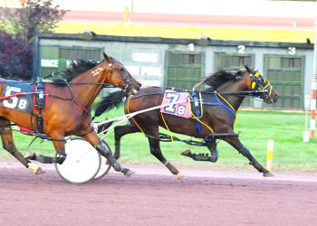 Co-features swept by Napolitano / Eckley