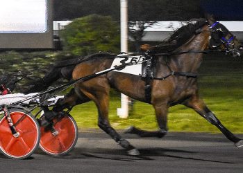 Sinatra De Vie wins Ocean trot ‘his way’