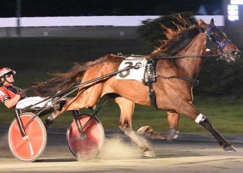 Ahle bags five winners including feature trot