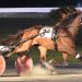 Ahle bags five winners including feature trot