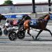 Pocket-rocket takes Harrington FFA Pace