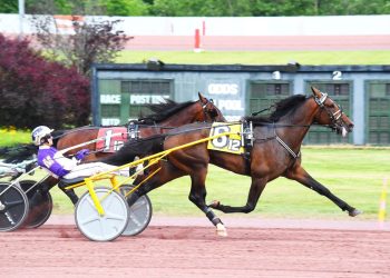 Unbeaten T C I, Security Protected win again in PASS