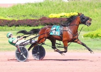 A grand slam and feature race win for Braxten Boyd