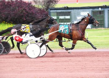 High-priced claimers in spotlight at Pocono