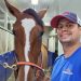 Young trotters to strut their stuff at Hippodrome 3R