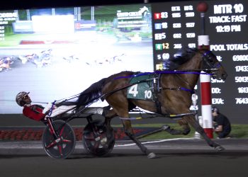 Lifetime best for Twin B Joe Fresh in $305,000 Roses Are Red