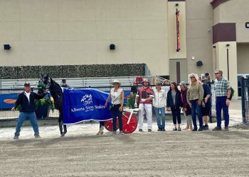 Driver and horse winless no more after $54,800 Marksman