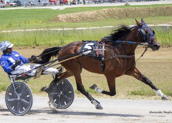 Volstarita is the real deal