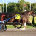 Grand Circuit for two-year-olds underway at Mohawk
