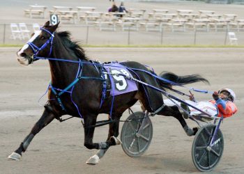 Leon Bailey on a tear with seven winners