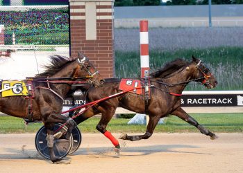24-1 longshot takes Open Trot