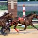 24-1 longshot takes Open Trot