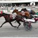Chapter Seven foals’ headline NYSS at Tioga