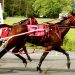 Longshots rule at Bangor Raceway