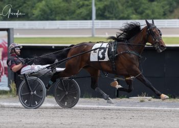 Six-win day includes series sweep for Wrenn