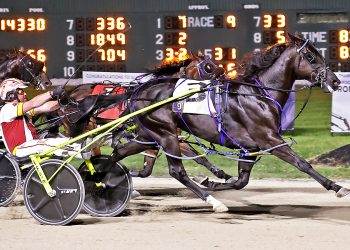 Connections for Clever Cody have high hopes