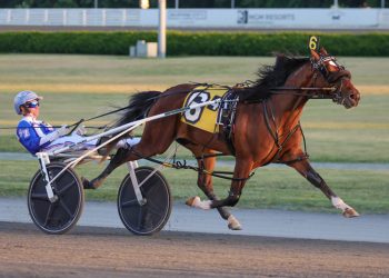 Two-year-olds battle in NYSS at Yonkers