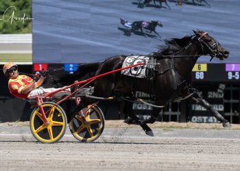 Fighting Evil battles to Meadows upset