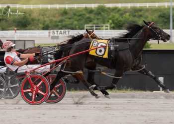 Dueling sisters help Fighting Evil take distaff Open