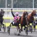 Four 120,000€ Gr II stakes held at Paris-Vincennes