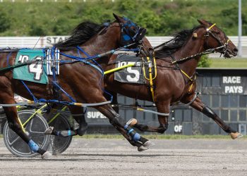 Liteningonthebeach holds on to the wire